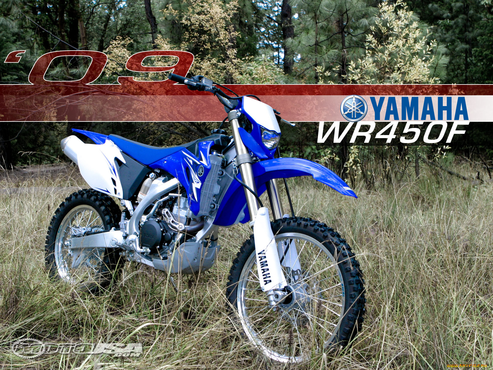 , yamaha
